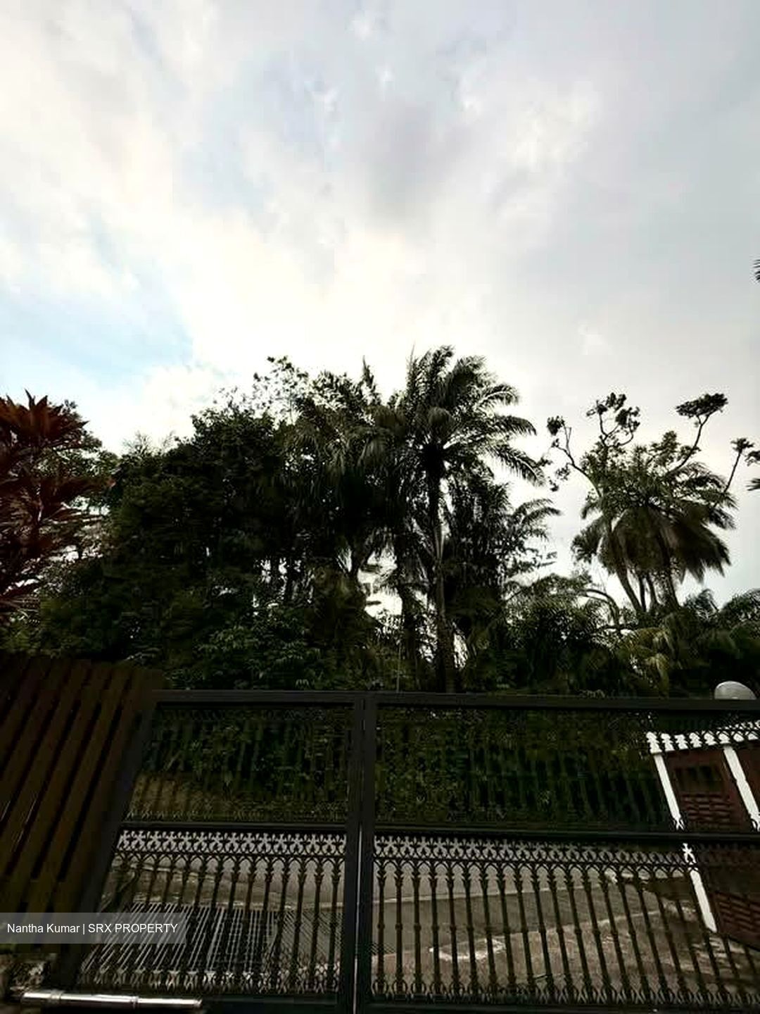 Cluny Park (D10), Detached #563355821